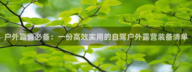 富邦娱乐官网上全狐网