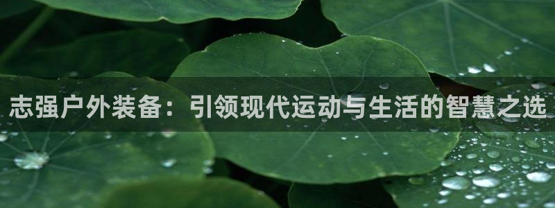 北仑富邦推荐娱乐项目