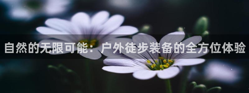 富邦老品牌娱乐城