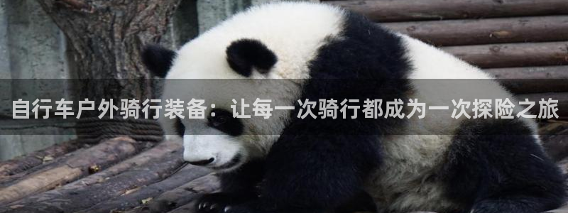 邦富娱乐国际