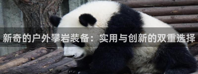 富邦翡翠娱乐会所地址