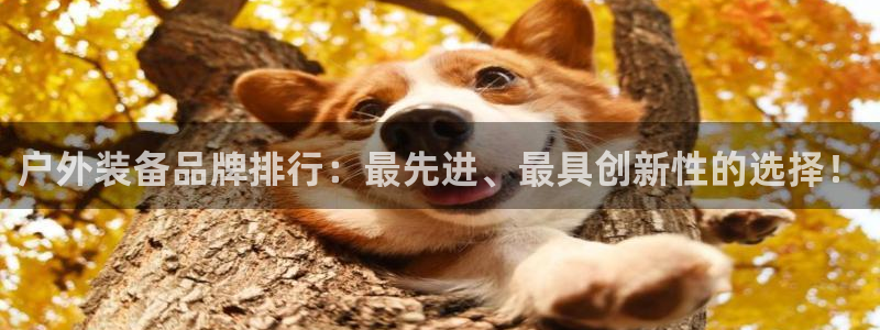 盐城富邦娱乐