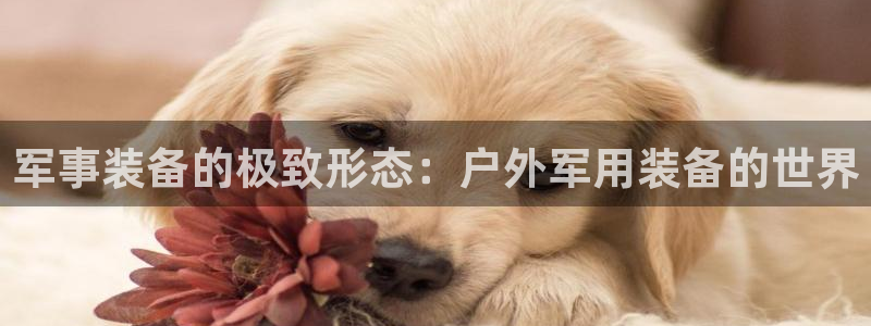 富邦酒店有娱乐场所