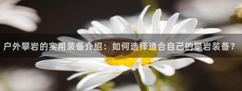 富邦商务娱乐会所怎么样