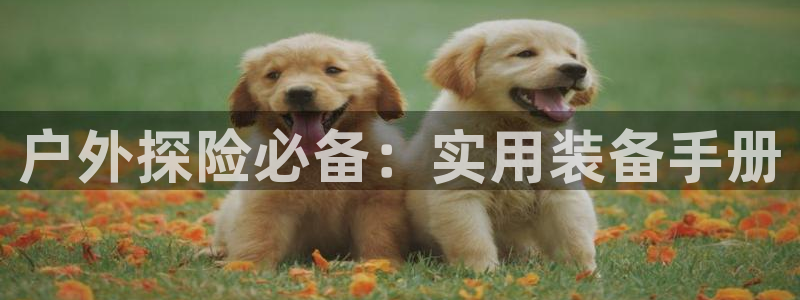 澳门富邦线上娱乐平台