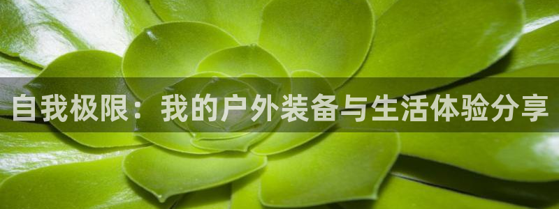 富邦 娱乐 平台