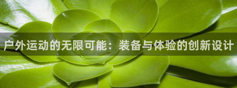 富邦娱乐 上鼎狐网