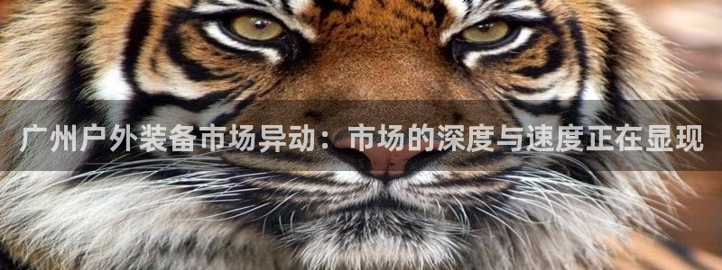 富邦club娱乐网址