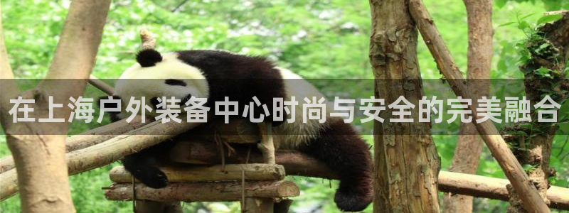 富邦娱乐网站多少