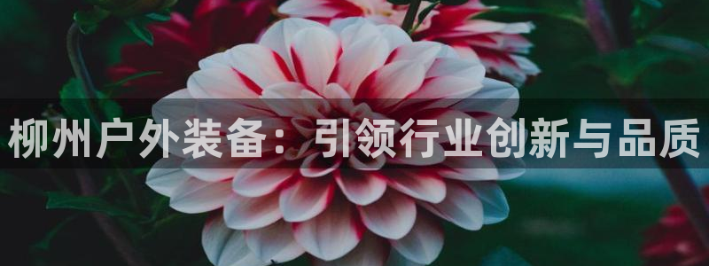富邦翡翠娱乐会所地址查询
