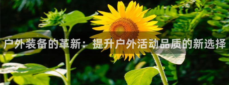 富邦电子娱乐网址