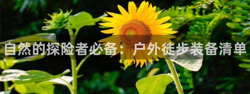 富邦娱乐澳门娱乐网站