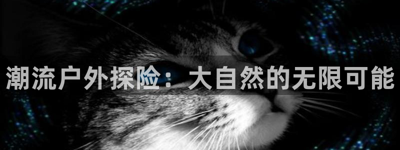 富邦娱乐网站登录