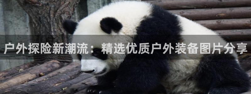 富邦娱乐登入探索无限空间