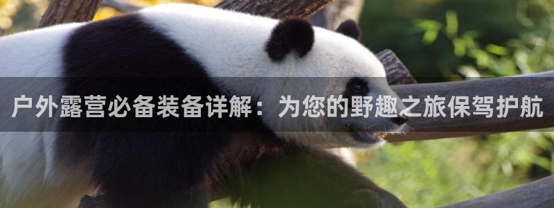 富邦 娱乐 花花公子