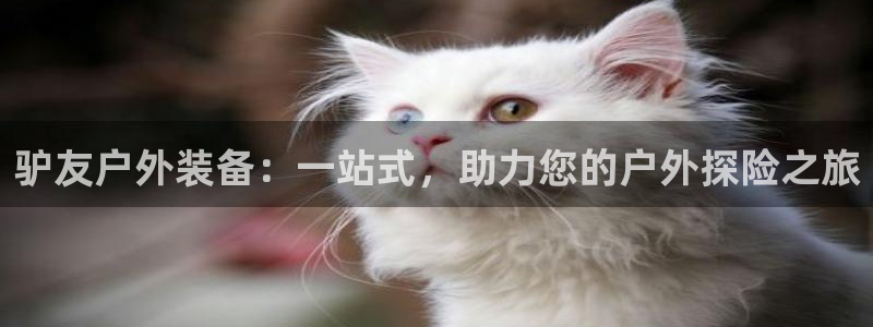 北仑富邦娱乐会所电话