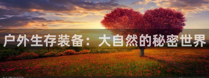 富邦娱乐2024最新消息