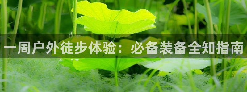 富邦娱乐平台最新公告