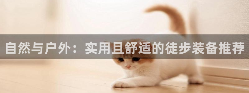 富邦娱乐开户 全礴网