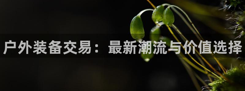 富邦娱乐登入上银狐网